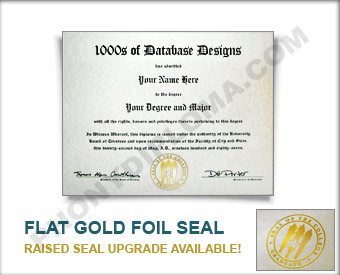 College Diploma, Actual Design Match - Intermediate Package Col ADM - I